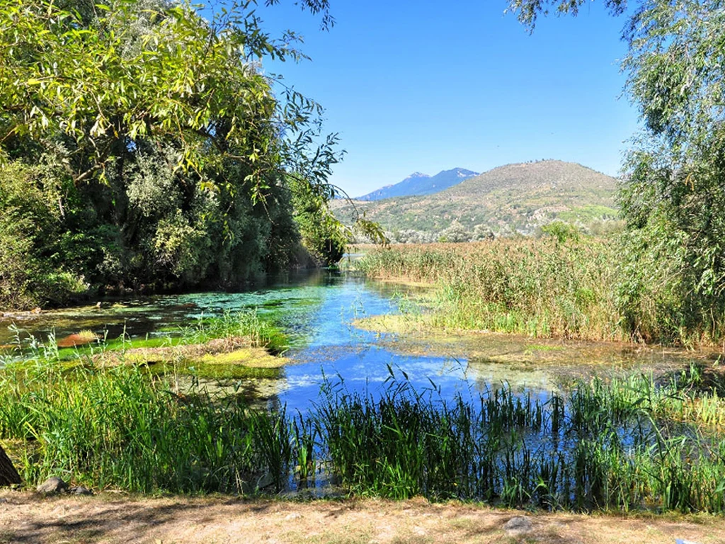 Popoliterme,capopescara1